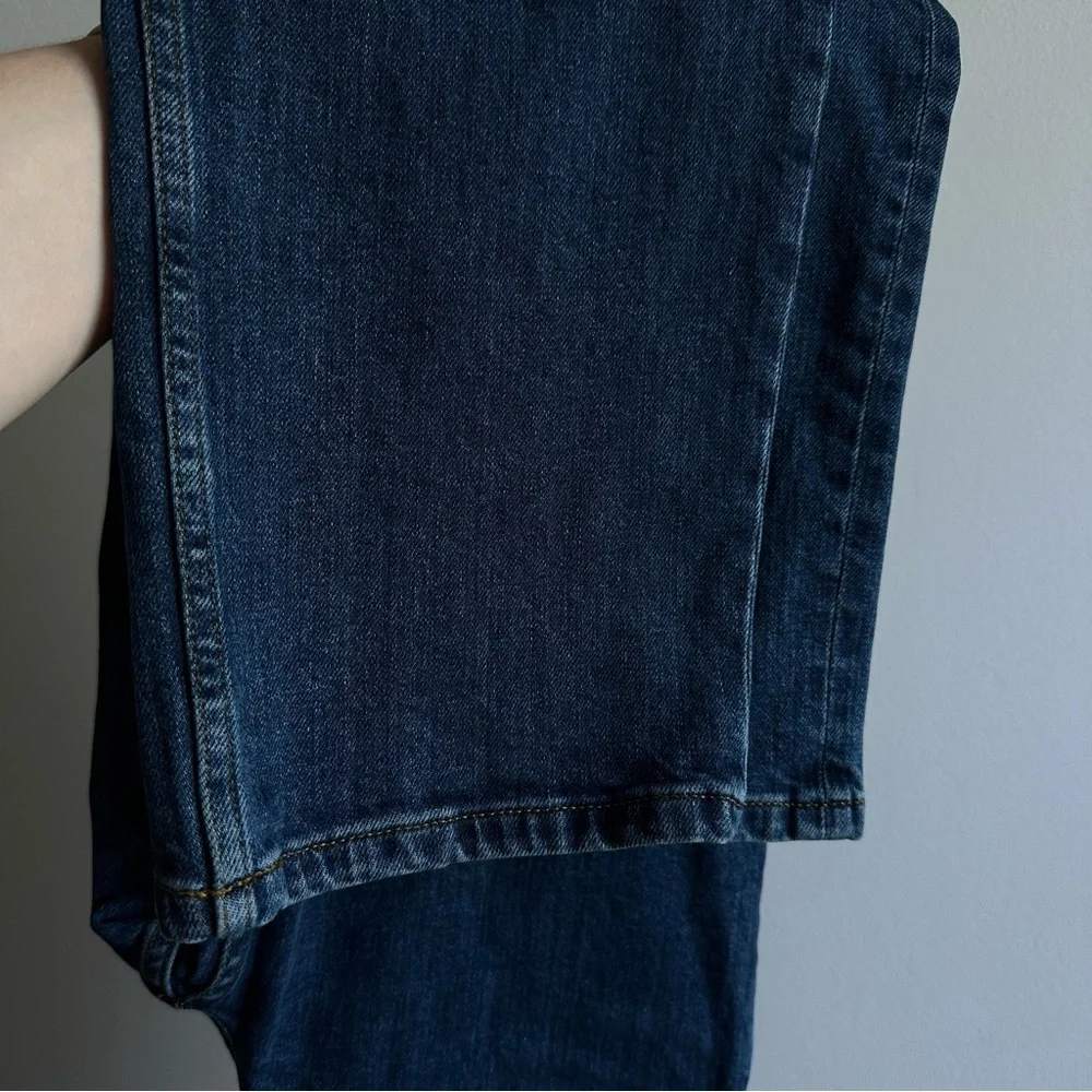 Everlane Way High Jean 26 Long